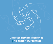 QLDC Vision 2050 Web Page Tiles Apr22 7 DISASTER RESILIENCE